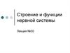 Строение и функции нервной системы