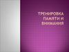 Тренировка памяти и внимания