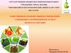 Качественное и количественное определение содержания аскорбиновой кислоты в продуктах питания