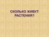 Сколько живут растения