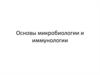 Основы микробиологии и иммунологии
