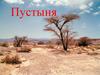 Пустыня. Экологические проблемы пустынь