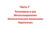 Теломераза и рак. Метастазирование. Эпигенетические механизмы. Тератогенез. (Часть 7)