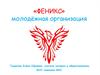 Молодежная организация ФЕНИКС