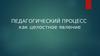 Педагогический процесс как целостное явление