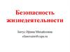 Безопасность жизнедеятельности