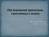 Наследование признаков, сцепленных с полом. (Задачи №247, 312, 338, 351)