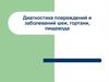 Диагностика повреждений и заболеваний шеи, гортани, пищевода