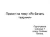 Проєкт на тему «Як бачать тварини»