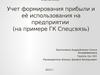 Учет формирования прибыли и её использования на предприятии на примере ГК Спецсвязь
