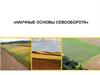 Научные основы севооборота