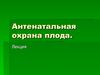 Антенатальная охрана плода
