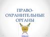 Правоохранительные органы РФ