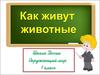 Как живут животные