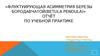 Отчёт по учебной практике: «Флуктуирующая асимметрия березы бородавчатой(betula pendula)»