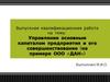 Управление основным капиталом предприятия и его совершенствование на примере ООО «ДАН»