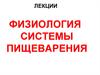 Физиология системы пищеварения