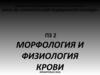 Морфология и физиология крови