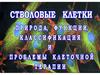 Стволовые клетки. Природа, функции, классификация и проблемы клеточной терапии