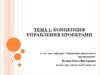 Концепция управления проектами
