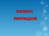 Обмен липидов. Классификация липидов