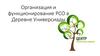 Вебинар. Организация и функционирование РСО в деревне универсиады