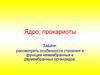 Ядро, прокариоты. Особенности строения и функции немембранных и двумембранных органоидов