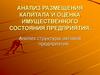 Анализ размещения капитала и оценка имущественного состояния предприятия