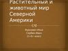 Растительный и животный мир Северной Америки