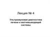 Ультразвуковая диагностика печени и желчевыводящей системы. (Лекция 4)