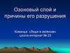 Озоновый слой и причины его разрушения