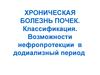 ХРОНИЧЕСКАЯ БОЛЕЗНЬ ПОЧЕК. Классификация. Возможности нефропротекции в додиализный период