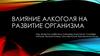 Влияние алкоголя на развитие организма