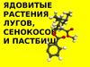 Ядовитые растения лугов, сенокосов и пастбищ