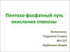 Пентозо-фосфатный путь окисления глюкозы