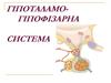 Гіпоталамо- гіпофізарна система