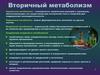 Вторичный метаболизм