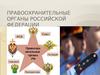 Правоохранительные органы Российской Федерации