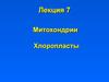 Митохондрии. Хлоропласты