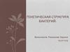 Генетическая структура бактерий