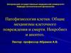 Патофизиология клетки. Общие механизмы клеточного повреждения и смерти. Некробиоз и апоптоз. (Тема 2)