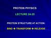 Protein structure at action: bind transform release