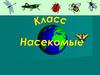 Класс Насекомые
