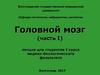 Головной мозг (часть1)
