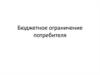 Бюджетное ограничение потребителя