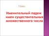 Именительный падеж имен существительных множественного числа