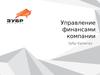 Управление финансами компании Зубр Капитал