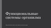 Функциональные системы организма. Биотехнические системы и технологии
