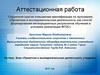 Аттестационная работа. Эссе «Проектная и исследовательская деятельность учащихся»