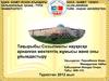 Созылмалы науқасқа арналған мектептің жұмысы және оны ұйымдастыру